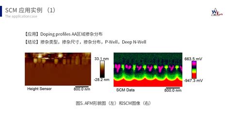 scm分析|[SCM]走査型静電容量顕微鏡法・